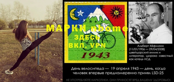 шишки Беломорск