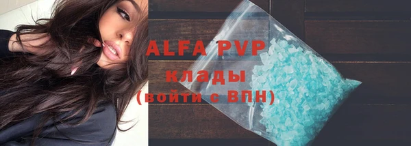 шишки Беломорск