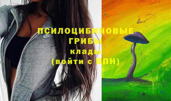 альфа пвп Богородицк