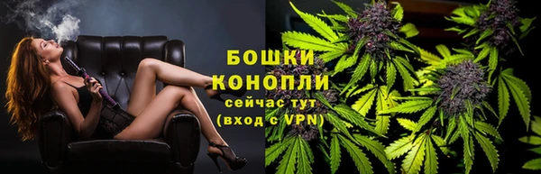 дживик Богданович