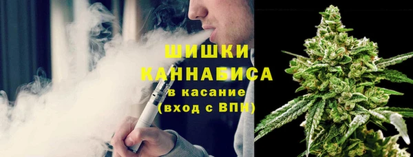 дживик Богданович